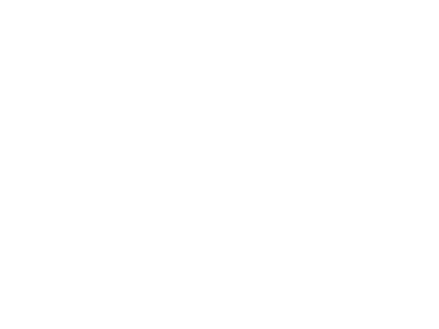 Hotel Fürstenhof Mosel